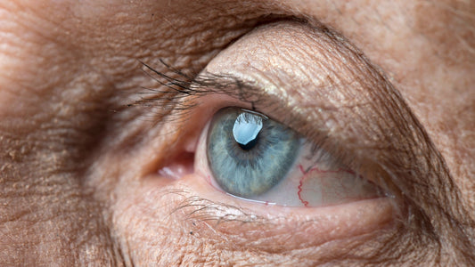 What Can I Do If I Am Diagnosed with Macular Degeneration?